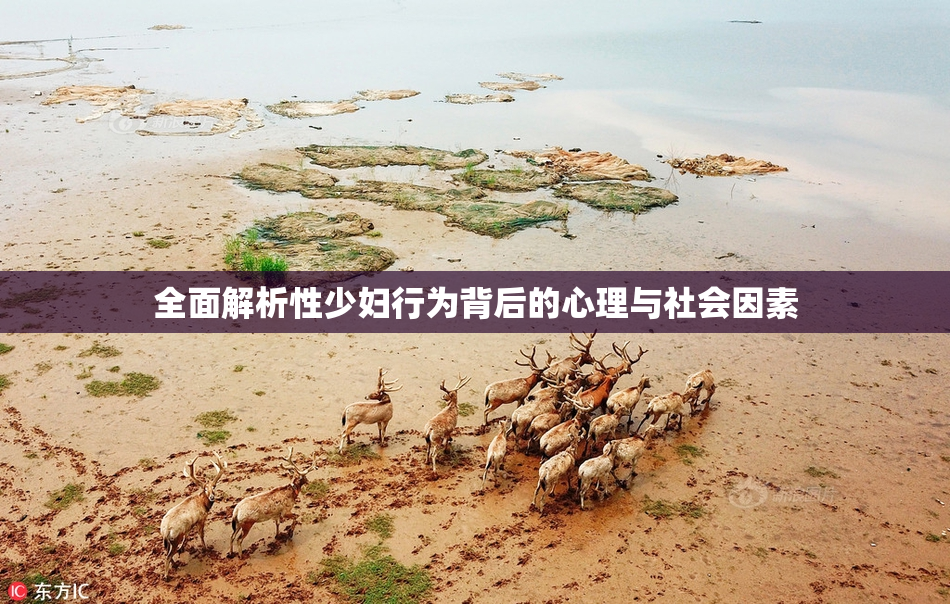 全面解析性少妇行为背后的心理与社会因素