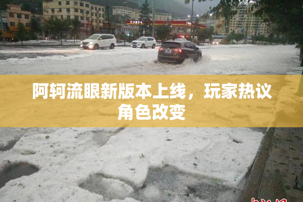 阿轲流眼新版本上线，玩家热议角色改变