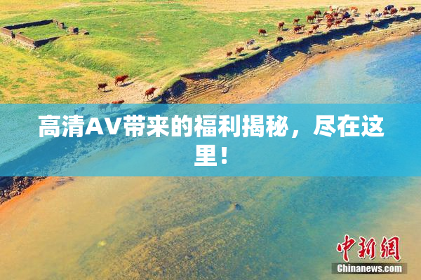 高清AV带来的福利揭秘，尽在这里！
