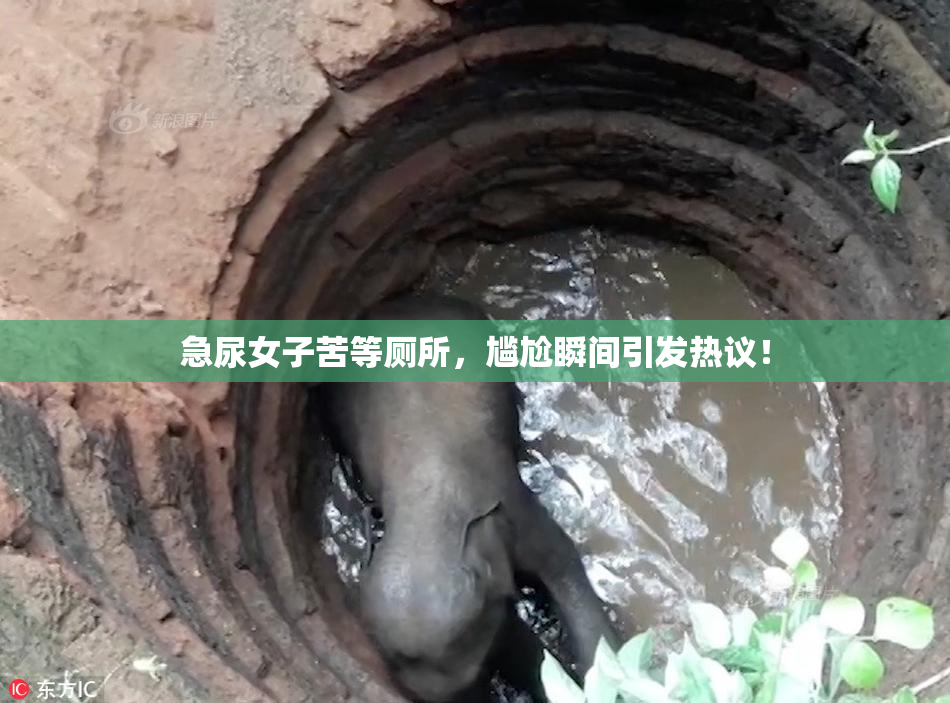 急尿女子苦等厕所，尴尬瞬间引发热议！