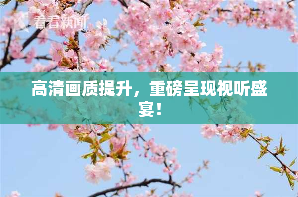 高清画质提升，重磅呈现视听盛宴！