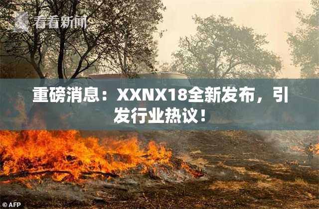 重磅消息：XXNX18全新发布，引发行业热议！