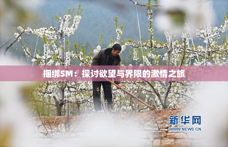 捆绑SM：探讨欲望与界限的激情之旅