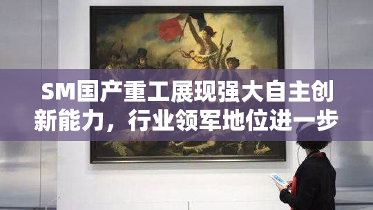 SM国产重工展现强大自主创新能力，行业领军地位进一步巩固