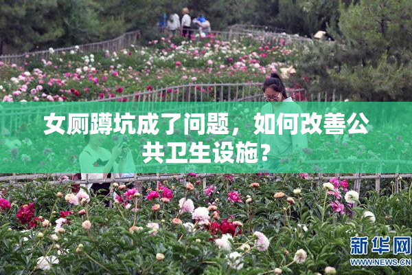 女厕蹲坑成了问题，如何改善公共卫生设施？