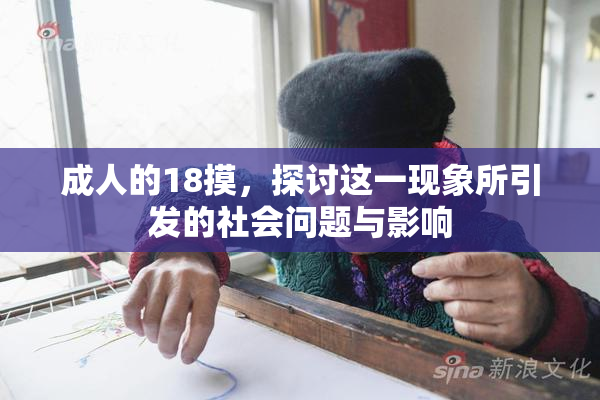 成人的18摸，探讨这一现象所引发的社会问题与影响