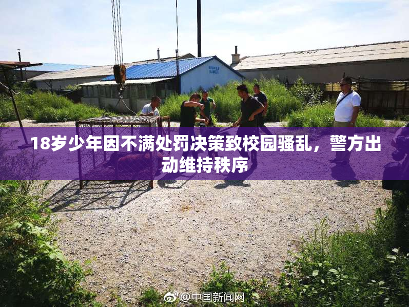 18岁少年因不满处罚决策致校园骚乱，警方出动维持秩序