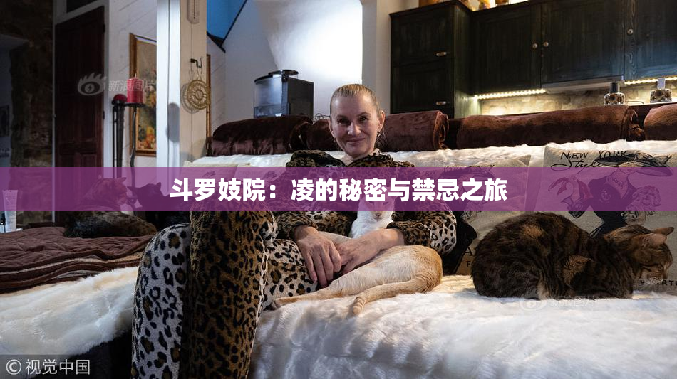 斗罗妓院：凌的秘密与禁忌之旅