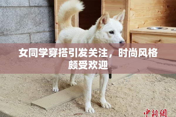 女同学穿搭引发关注，时尚风格颇受欢迎