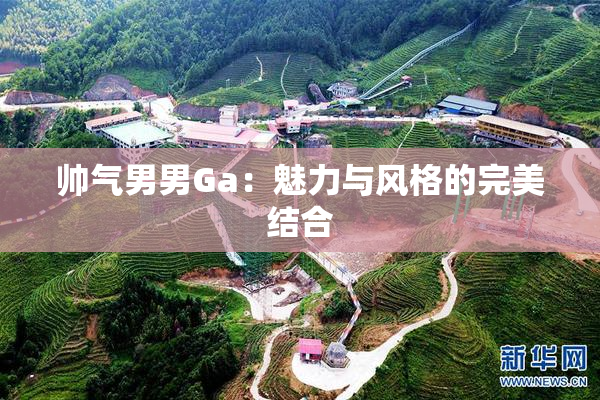 帅气男男Ga：魅力与风格的完美结合