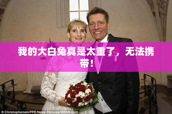 我的大白兔真是太重了，无法携带！