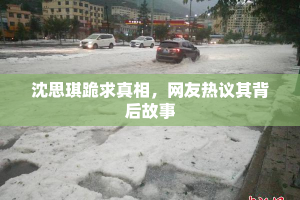 沈思琪跪求真相，网友热议其背后故事