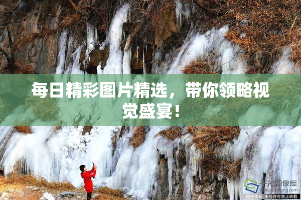 每日精彩图片精选，带你领略视觉盛宴！