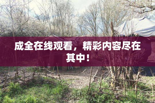 成全在线观看，精彩内容尽在其中！