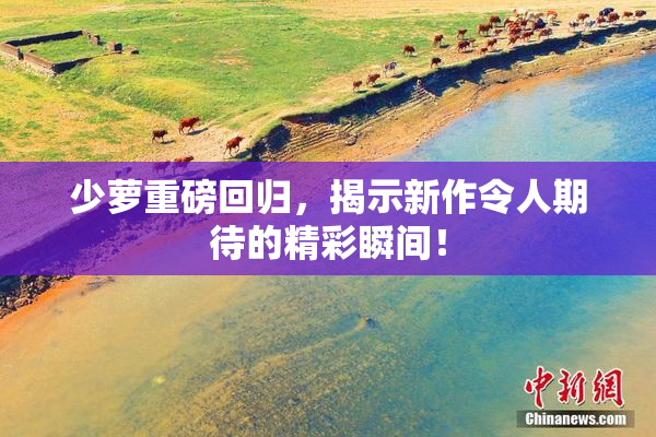 少萝重磅回归，揭示新作令人期待的精彩瞬间！
