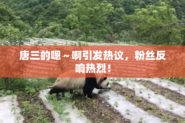 唐三的嗯～啊引发热议，粉丝反响热烈！