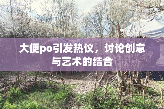 大便po引发热议，讨论创意与艺术的结合