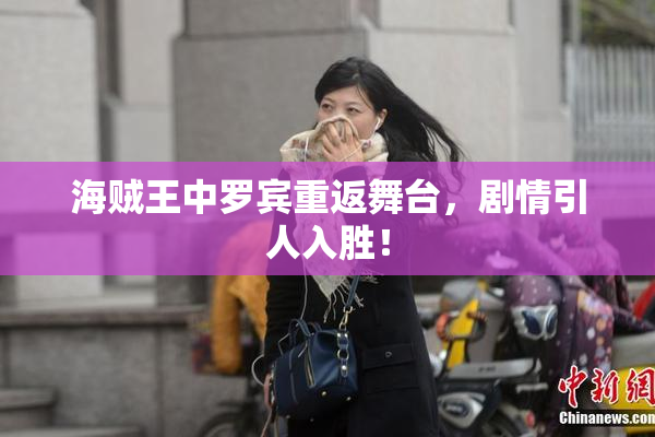 海贼王中罗宾重返舞台，剧情引人入胜！