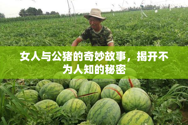 女人与公猪的奇妙故事，揭开不为人知的秘密
