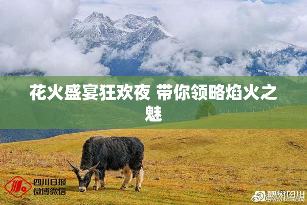 花火盛宴狂欢夜 带你领略焰火之魅