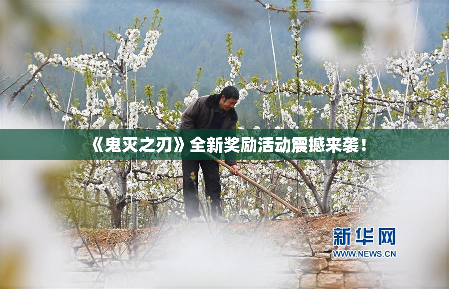 《鬼灭之刃》全新奖励活动震撼来袭！