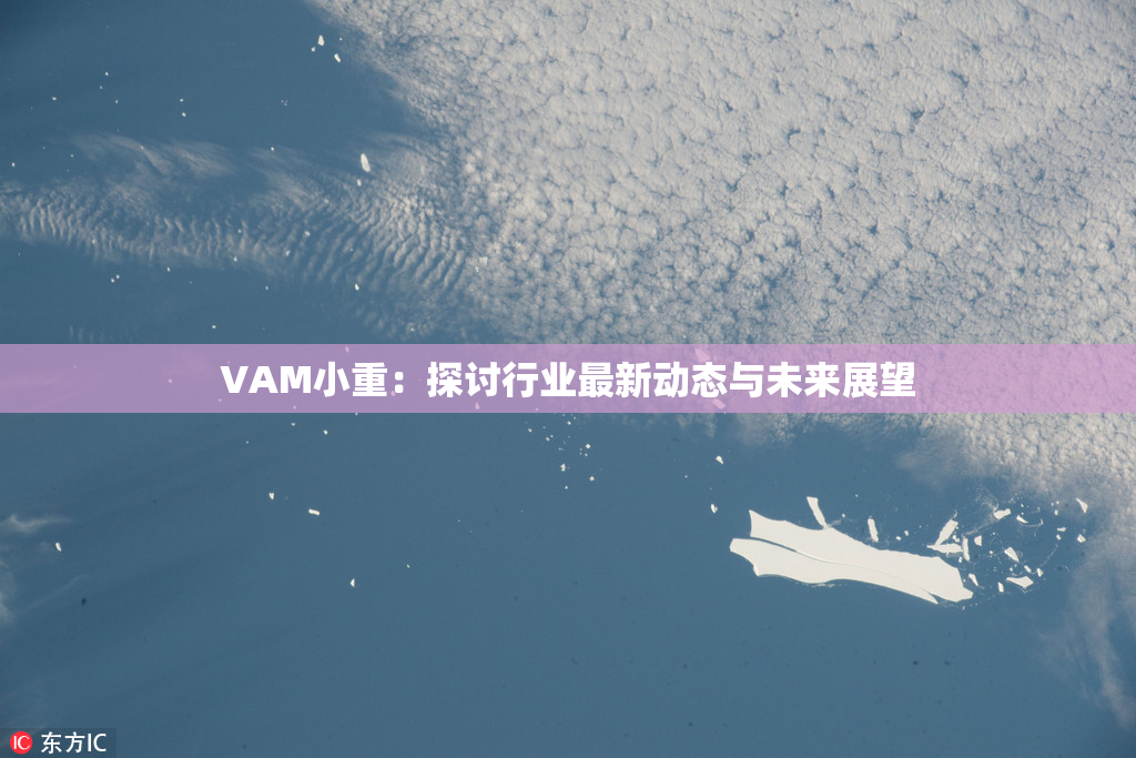 VAM小重：探讨行业最新动态与未来展望
