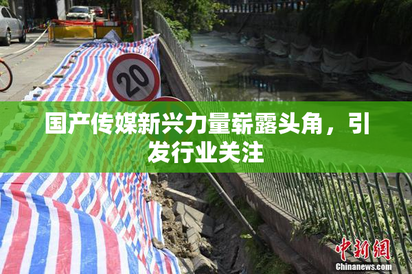 国产传媒新兴力量崭露头角，引发行业关注