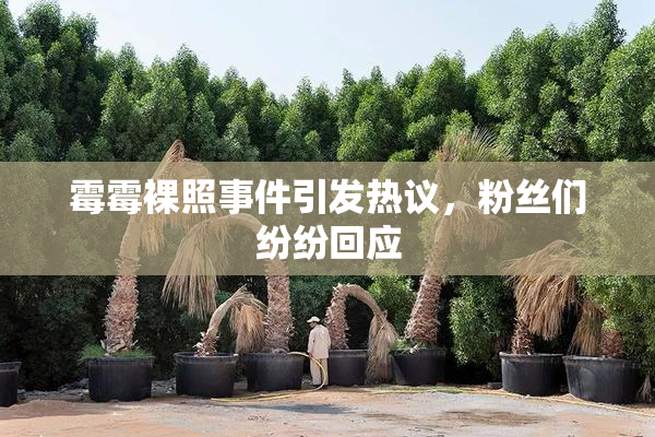 霉霉裸照事件引发热议，粉丝们纷纷回应