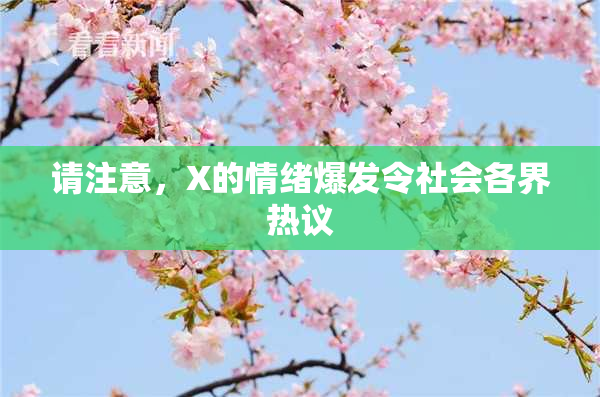 请注意，X的情绪爆发令社会各界热议