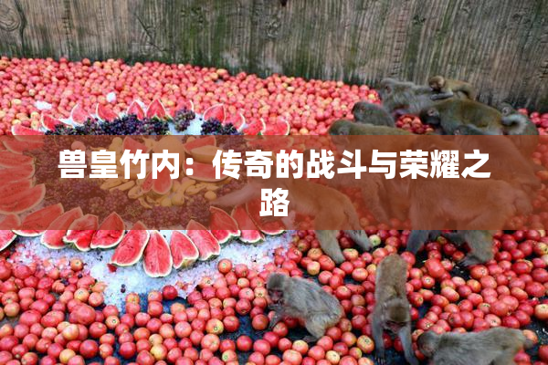 兽皇竹内：传奇的战斗与荣耀之路