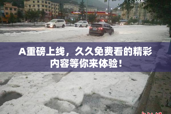 A重磅上线，久久免费看的精彩内容等你来体验！