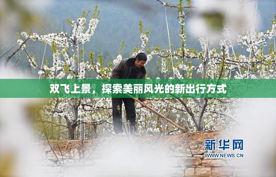 双飞上景，探索美丽风光的新出行方式