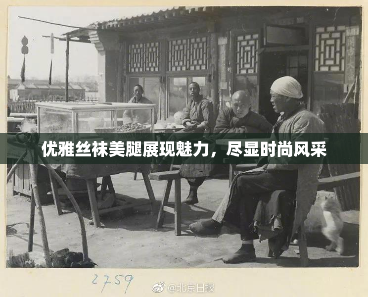 优雅丝袜美腿展现魅力，尽显时尚风采