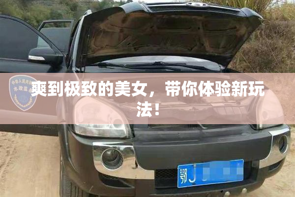 爽到极致的美女，带你体验新玩法！