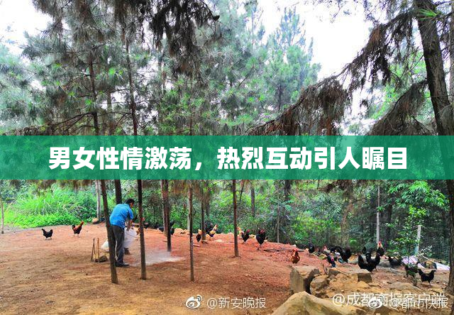 男女性情激荡，热烈互动引人瞩目