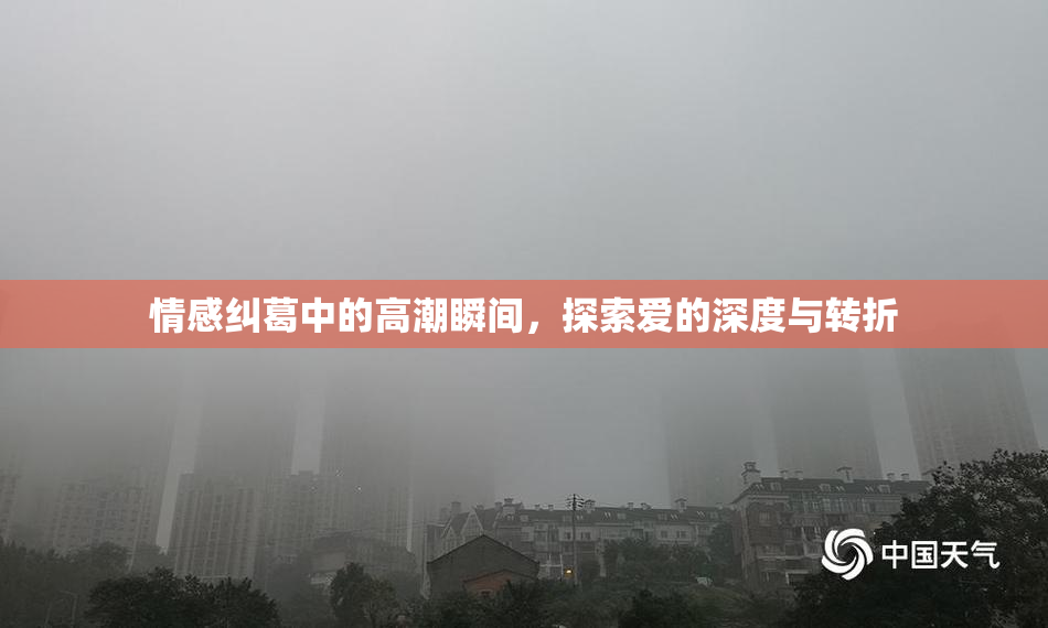 情感纠葛中的高潮瞬间，探索爱的深度与转折