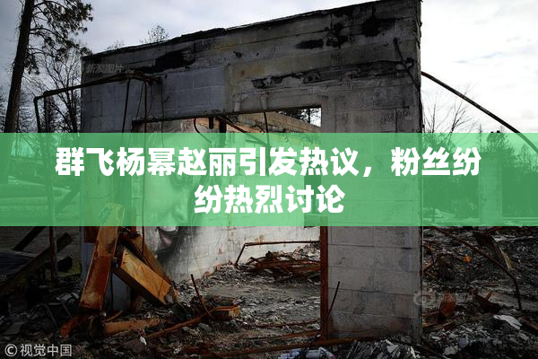 群飞杨幂赵丽引发热议，粉丝纷纷热烈讨论