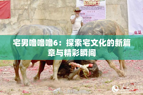 宅男噜噜噜6：探索宅文化的新篇章与精彩瞬间