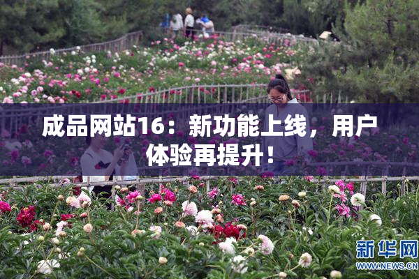 成品网站16：新功能上线，用户体验再提升！