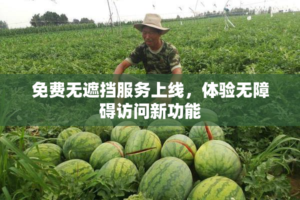 免费无遮挡服务上线，体验无障碍访问新功能