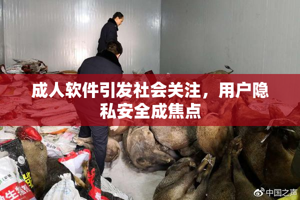 成人软件引发社会关注，用户隐私安全成焦点
