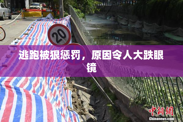 逃跑被狠惩罚，原因令人大跌眼镜