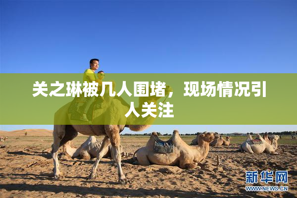 关之琳被几人围堵，现场情况引人关注