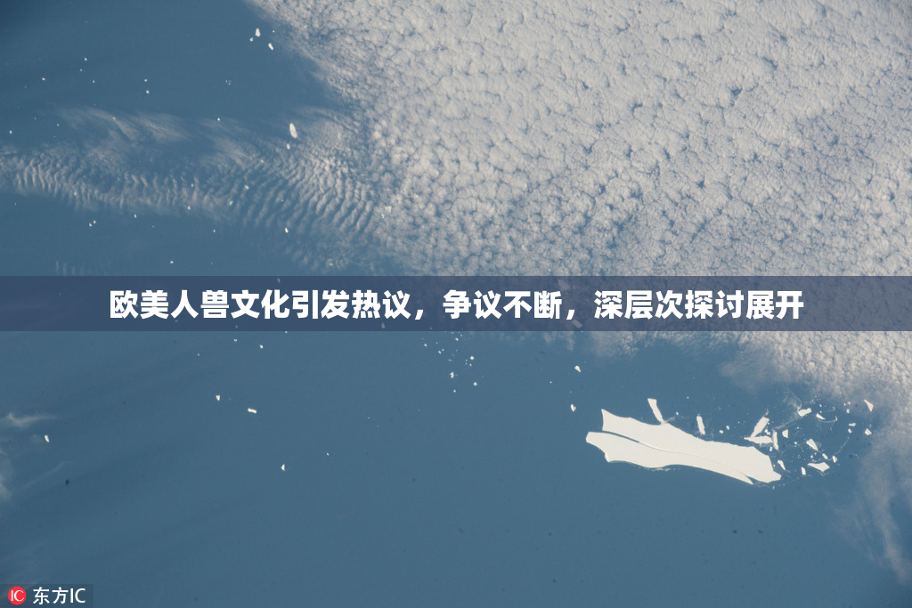 欧美人兽文化引发热议，争议不断，深层次探讨展开