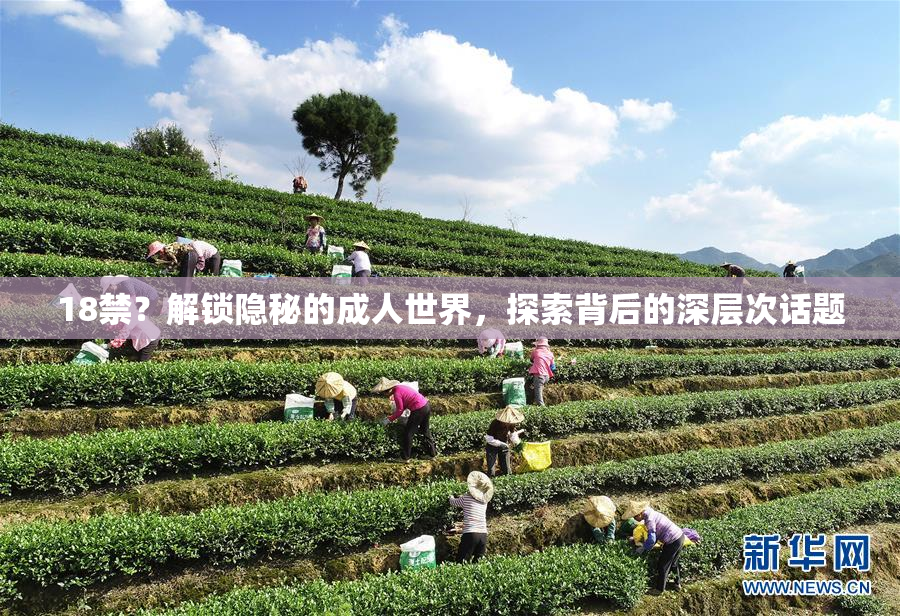 18禁？解锁隐秘的成人世界，探索背后的深层次话题