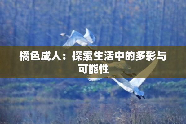 橘色成人：探索生活中的多彩与可能性