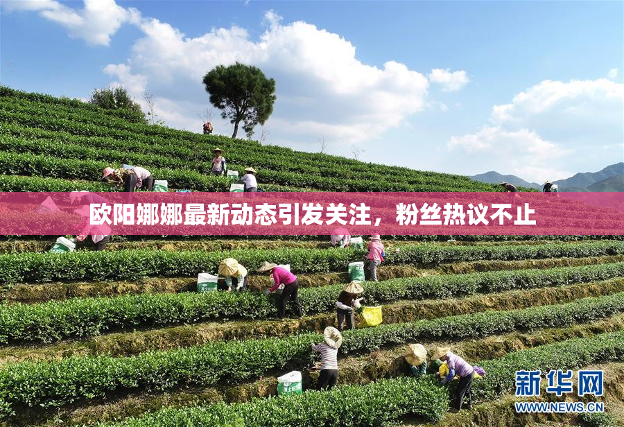 欧阳娜娜最新动态引发关注，粉丝热议不止