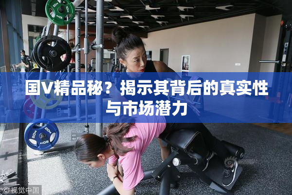 国V精品秘？揭示其背后的真实性与市场潜力