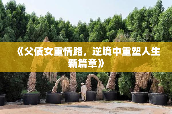 《父债女重情路，逆境中重塑人生新篇章》