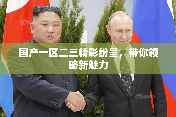 国产一区二三精彩纷呈，带你领略新魅力